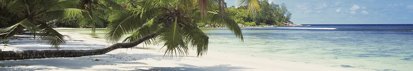 Caribbean