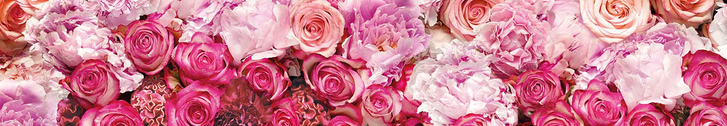 Floral Photomurals Floral Photomurals