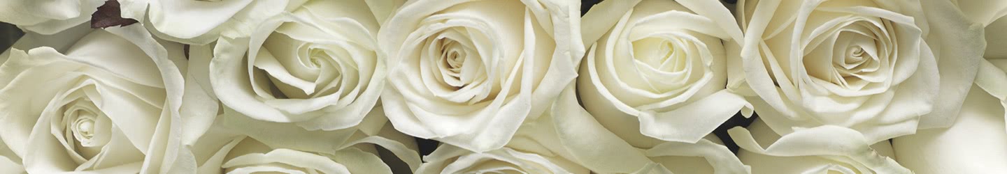 Roses Roses