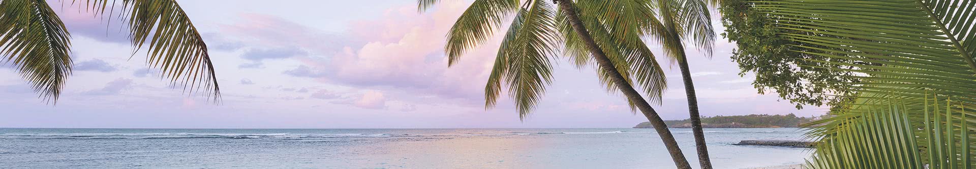 Beach & Ocean Beach & Ocean