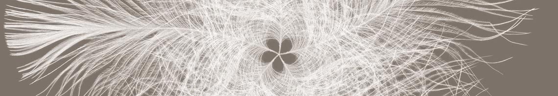 Non-woven Photomurals Non-woven Photomurals