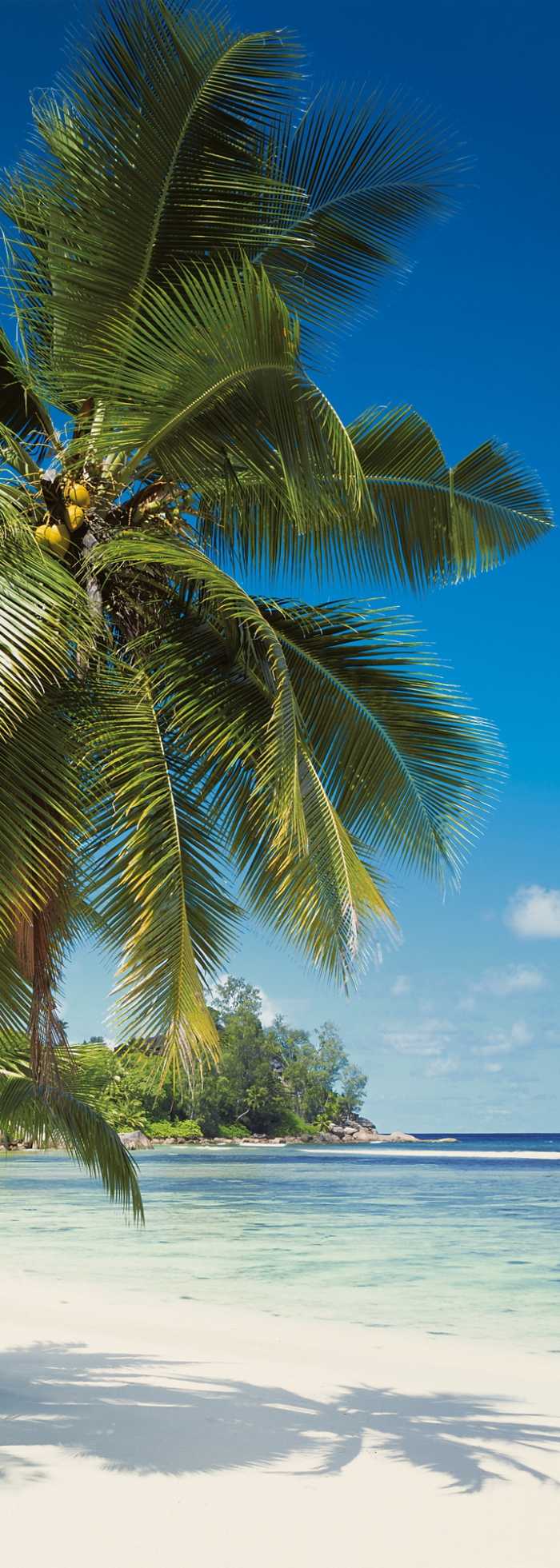 Panel Coconut Bay