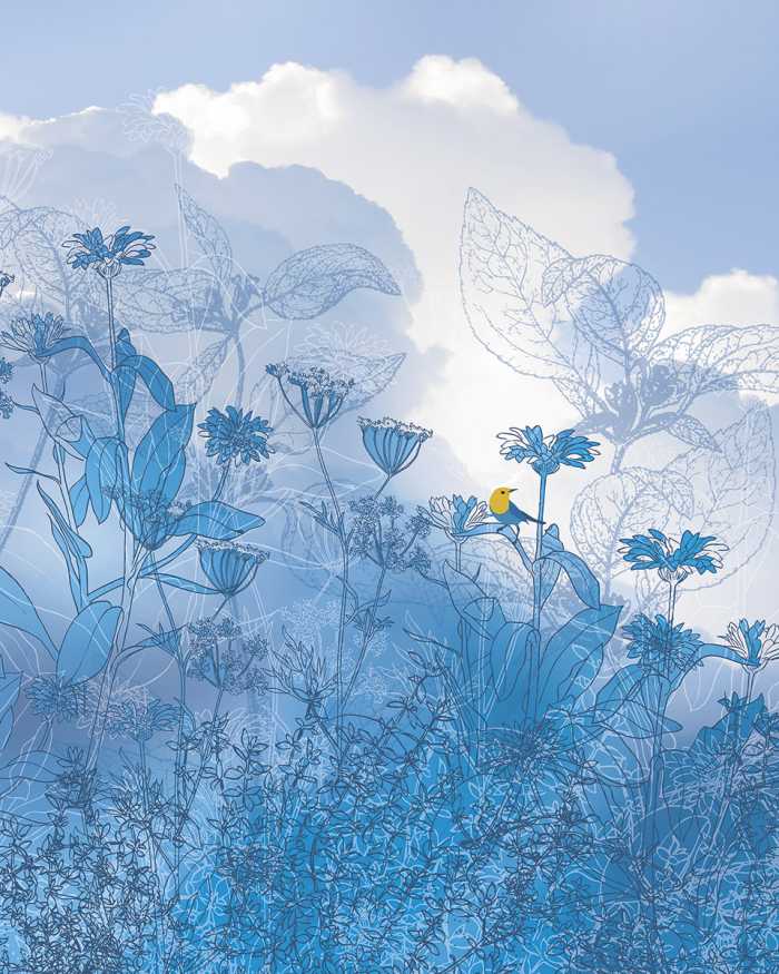 Digital wallpaper Blue Sky