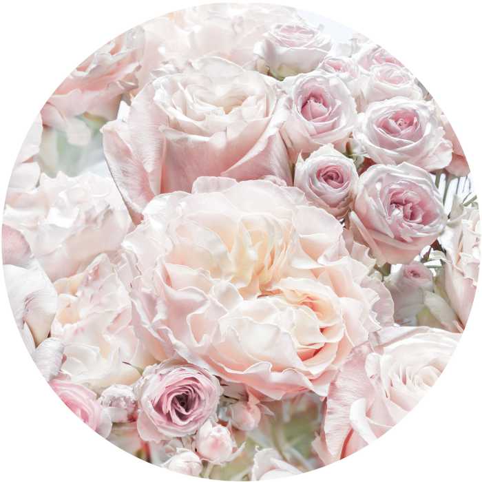 Round photomural Pink and Cream Roses