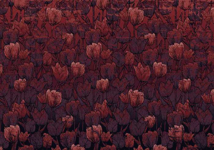 Digital wallpaper Tulipe