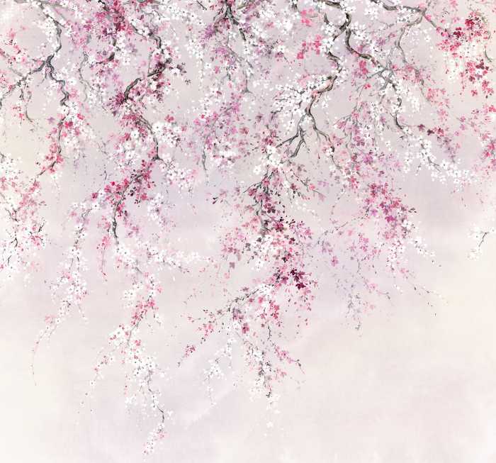 Digital wallpaper Kirschblüten