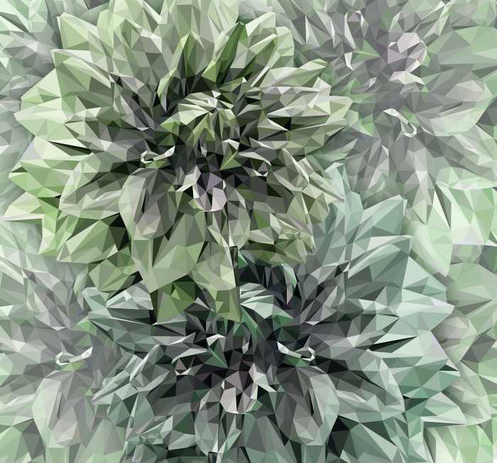 Digital wallpaper Emerald Flowers