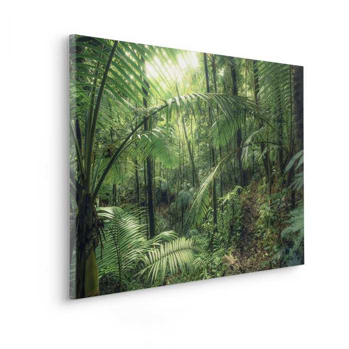 Non-woven canvas Jungleflair