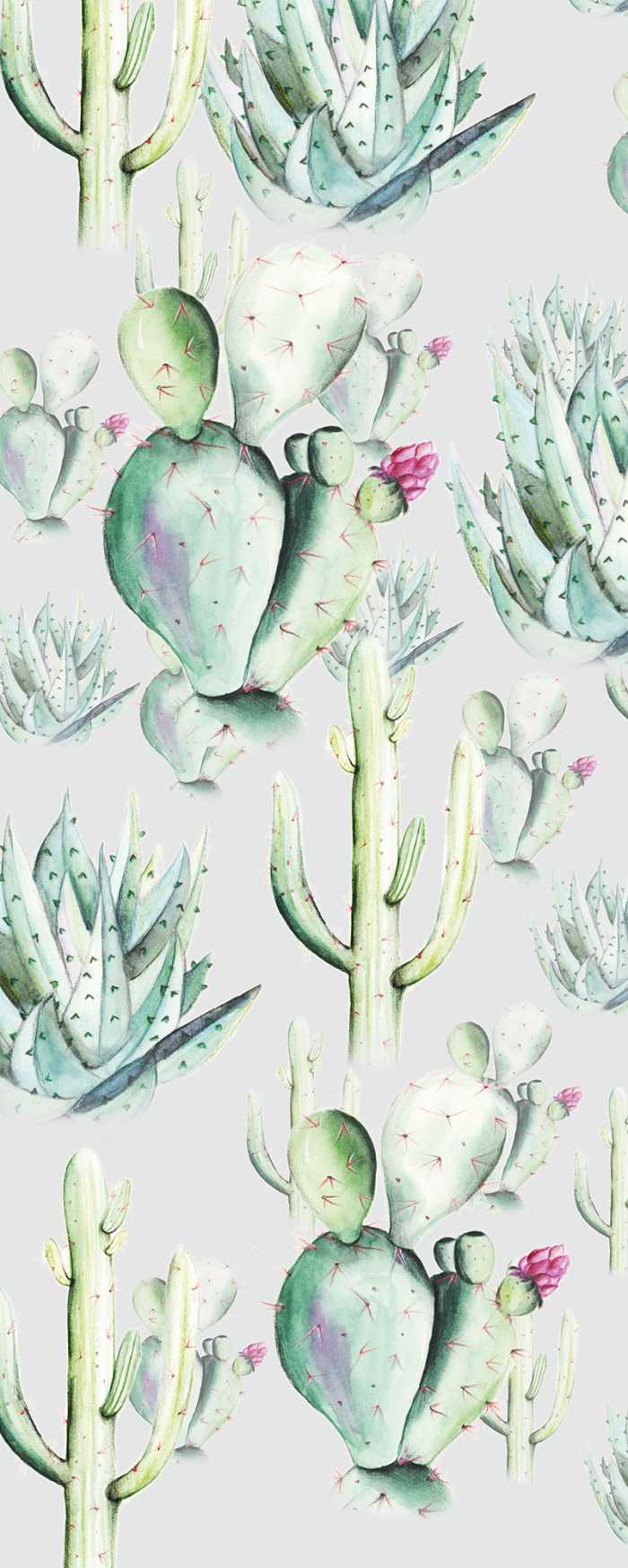 Digital wallpaper Cactus Grey
