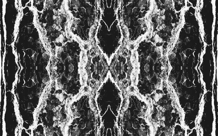 Digital wallpaper Oak Bark black-white
