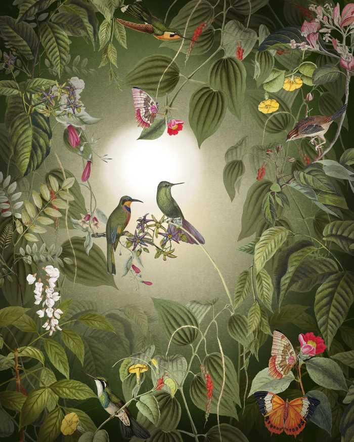 Digital wallpaper Wildlife Birds