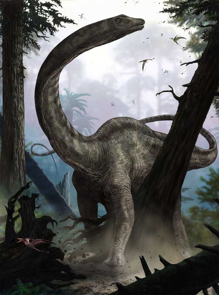 Non-woven photomural Rebbachisaurus