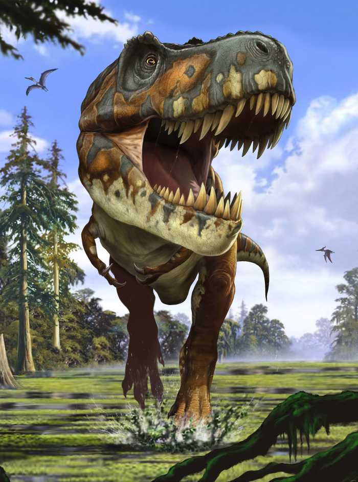 Non-woven photomural Tyrannosaurus Rex