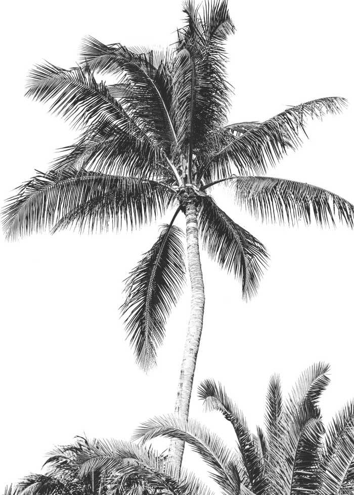 Digital wallpaper Retro Palm