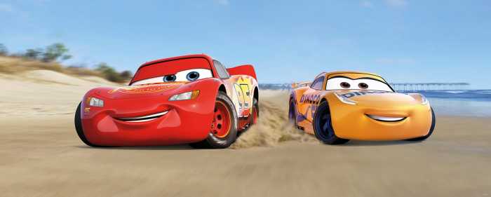 Premium Non-Woven Cars3 Beach
