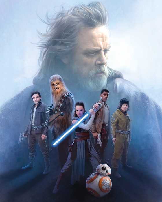 Premium Non-Woven Star Wars Last Hope