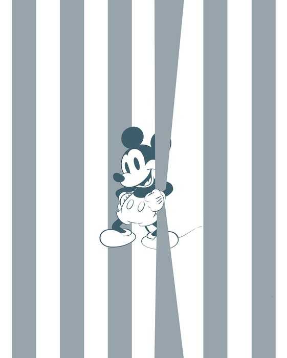 Premium Non-Woven Mickey Offbeat