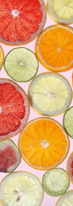 Premium Non-Woven Fresh