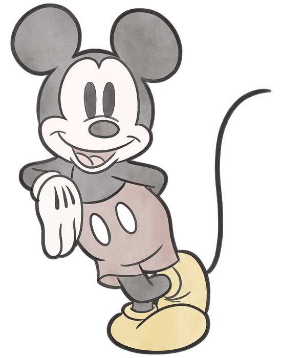  Mickey Essential