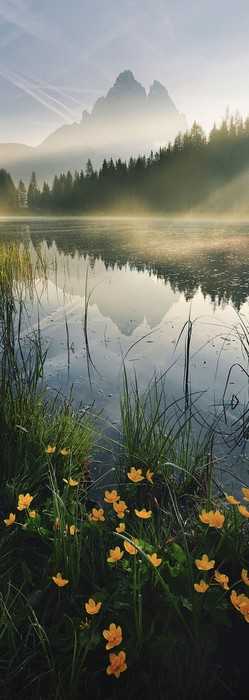 Premium Non-Woven Morning Mist