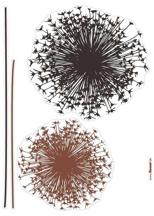  Pusteblume