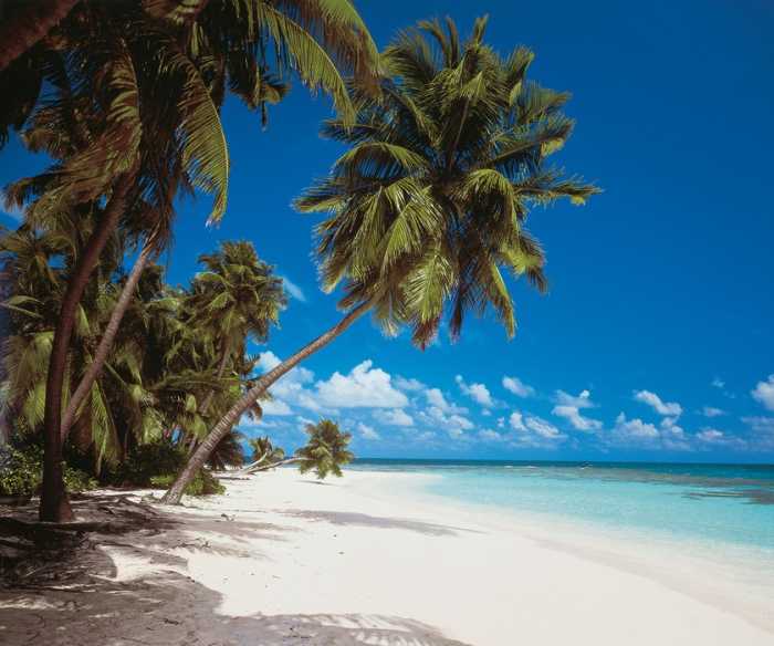 Premium Non-Woven Maldives