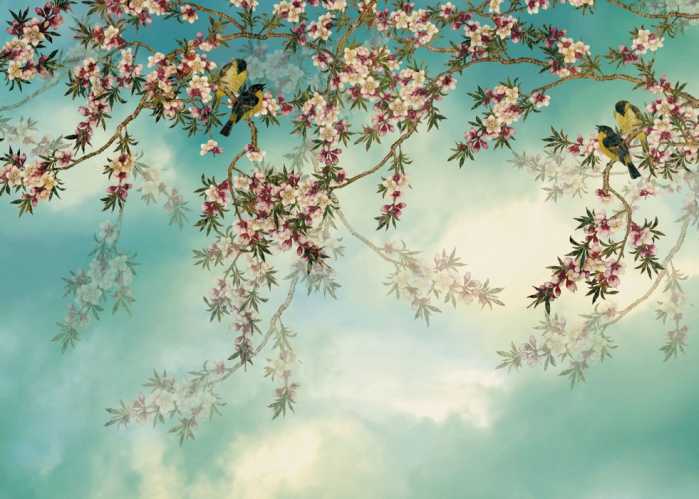 Non-woven Sakura