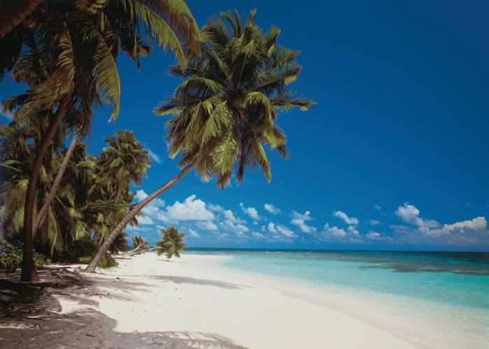 Non-woven Maldives