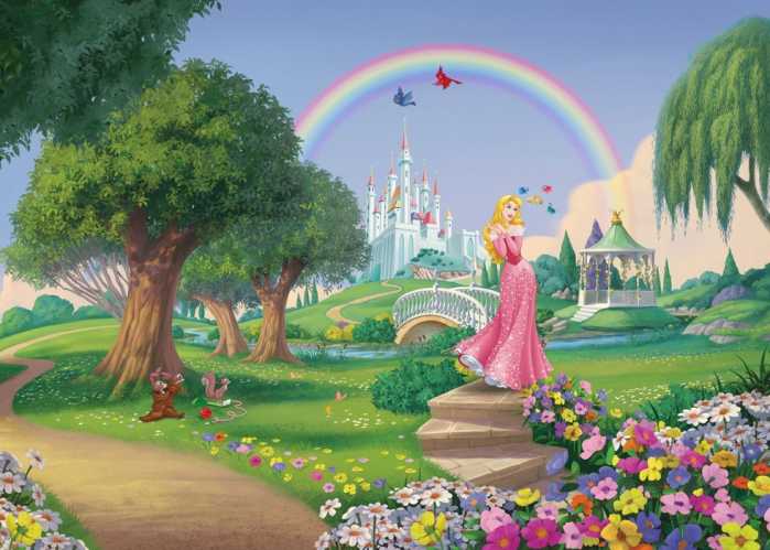Non-woven Disney Princess Rainbow