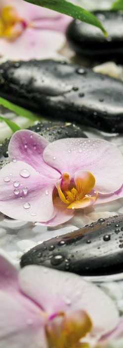 Premium Non-Woven Wellness