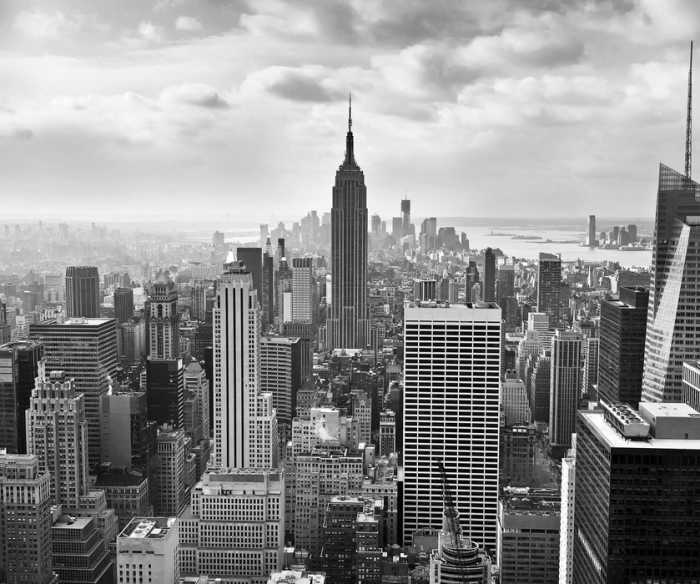 Premium Non-Woven NYC Black and White