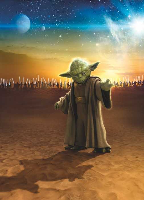 Standard Non-woven Star Wars Master Yoda
