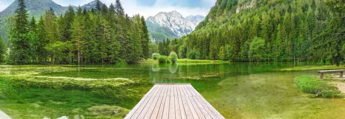 Standard Non-woven Green Lake