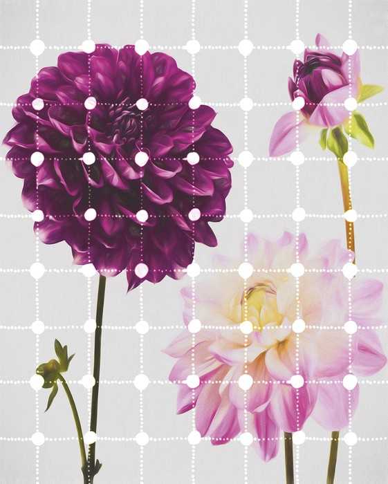Premium Non-Woven Flowers & Dots