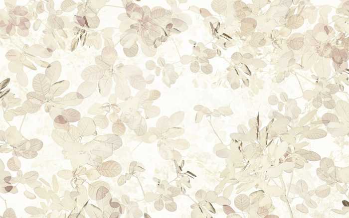 Premium Non-Woven Sheer