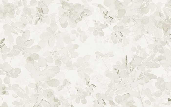 Premium Non-Woven Sheer Grey