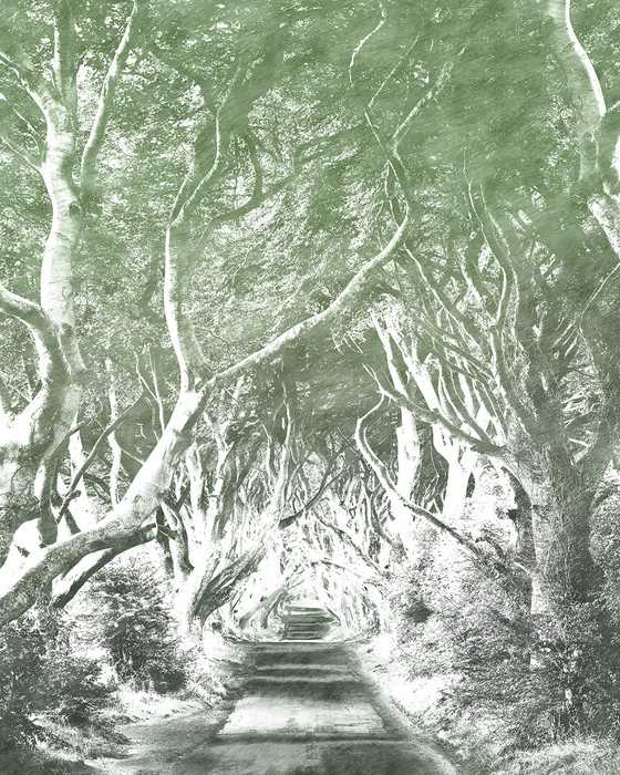 Premium Non-Woven Alley Graphite