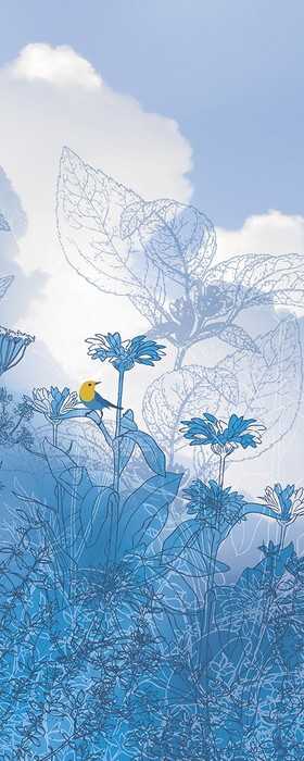 Premium Non-Woven Blue Sky Panel