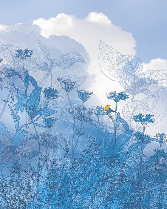 Premium Non-Woven Blue Sky
