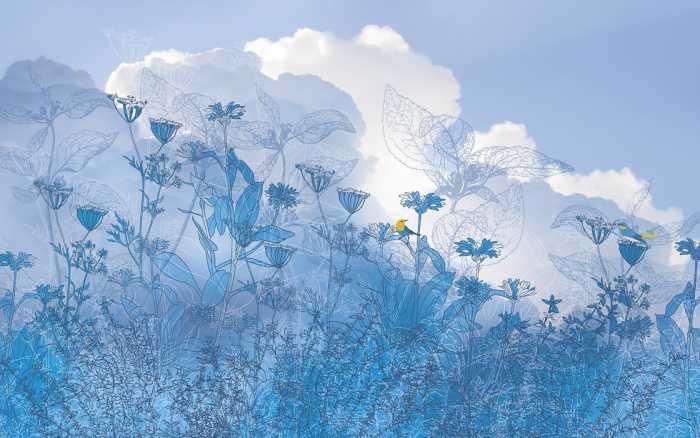 Premium Non-Woven Blue Sky II
