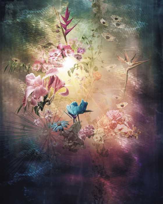 Premium Non-Woven Enlightenment