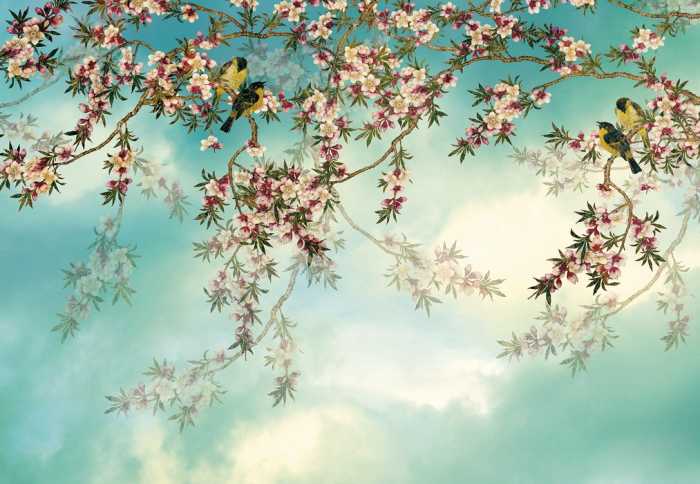 Standard Non-woven Sakura