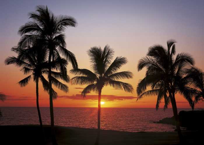 Paper Hawaii