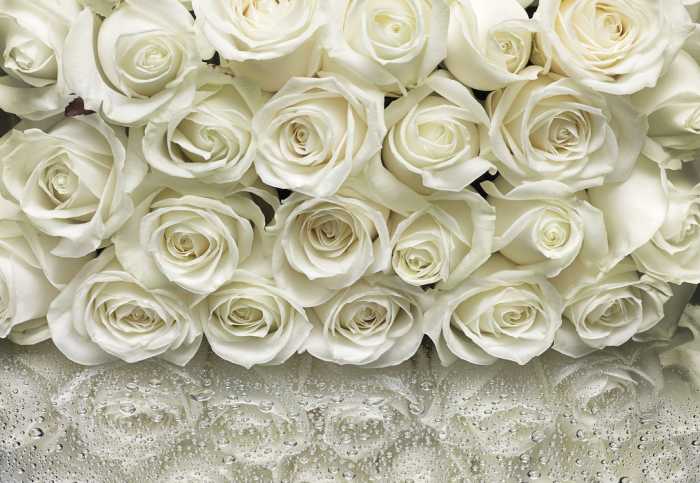 Paper A la Rose