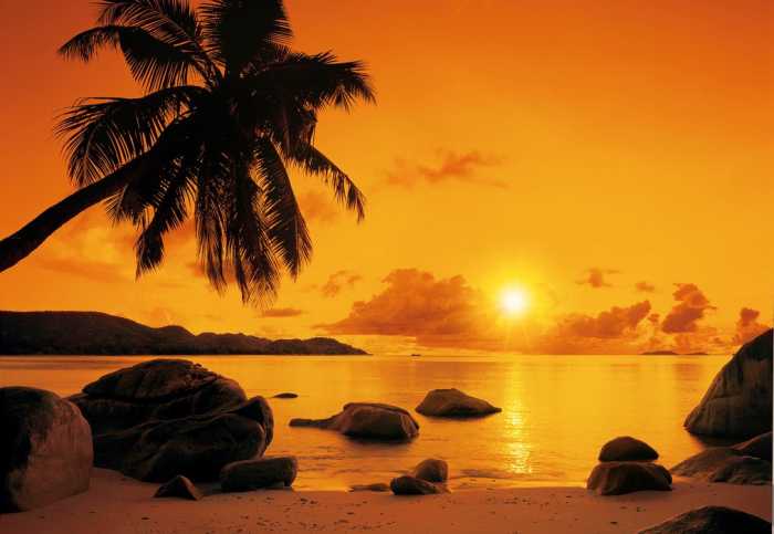 Standard Non-woven Sunset