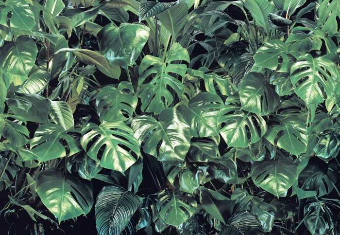 Paper Verdure