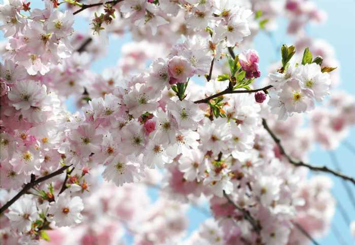 Paper Spring