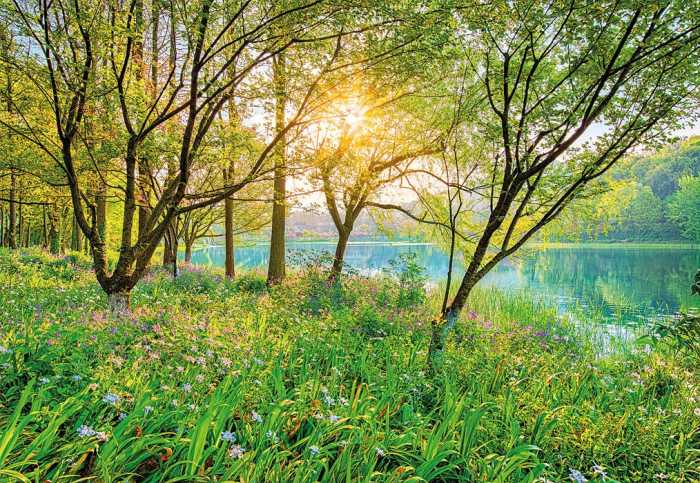 Paper Spring Lake