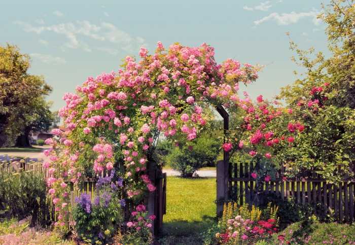 Paper Rose Garden