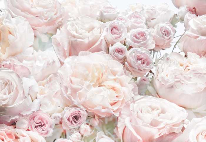 Paper Spring Roses